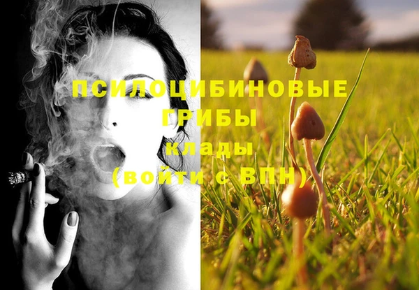 трава Бородино