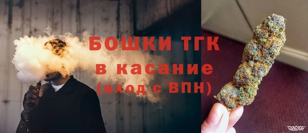 стафф Богданович