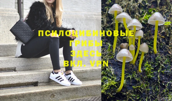 стафф Богданович