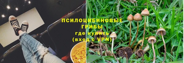 трава Бородино