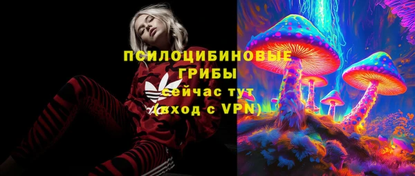 трава Бородино