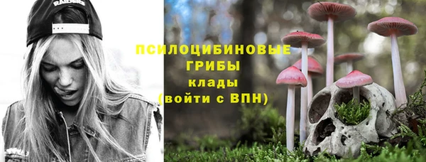 трава Бородино