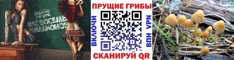 Галлюциногенные грибы ЛСД  Гремячинск 